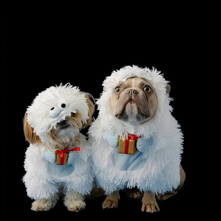 Hair masking service used to extract thin hair from background.