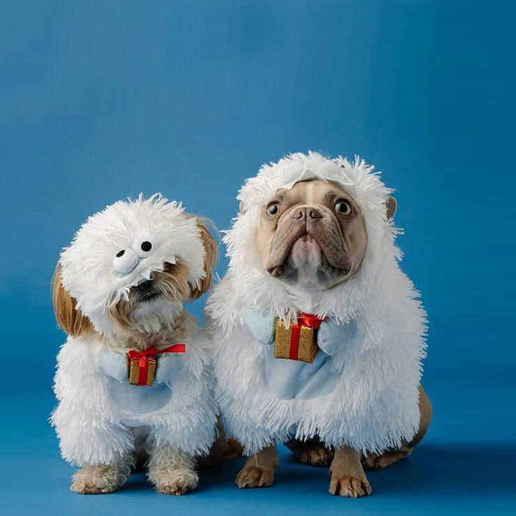 Quality Hair Masking for Difficult Background Removal